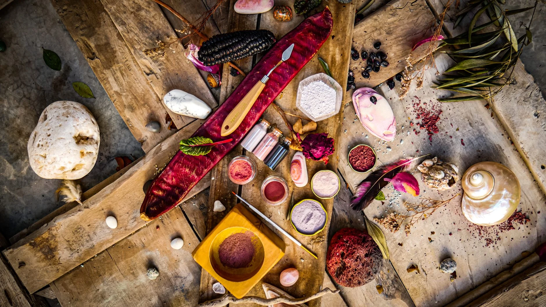 Tout savoir sur les pigments végétaux